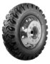 Pantanera Goodyear