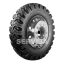 Pantanera Goodyear